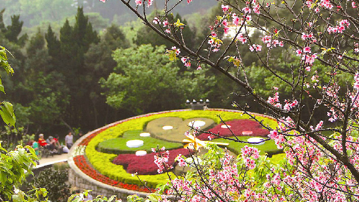 Công viên Dương Minh Sơn.