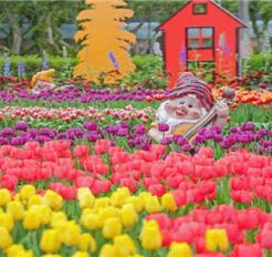 Tour Đài Loan 5N4Đ: HCM - Cao Hùng - Đài Trung - Đài Bắc - Vườn Hoa Sĩ Lâm