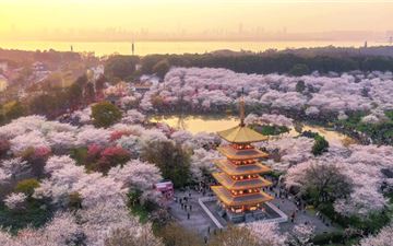 Tour Trung Quốc 7N7Đ: HCM - Vũ Hán - Tương Dương - Núi Võ Đang - Hoàng Hạc Lâu - No Shopping