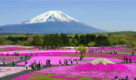 Tour Nhật Bản 6N5Đ: Hà Nội - Osaka - Kobe - Kyoto - Phú Sĩ - Tokyo - Hoa Chi Anh