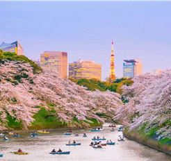 Tour Nhật Bản 6N5Đ: HCM - Osaka - Kyoto - Nagoya - Núi Phú Sĩ - Tokyo