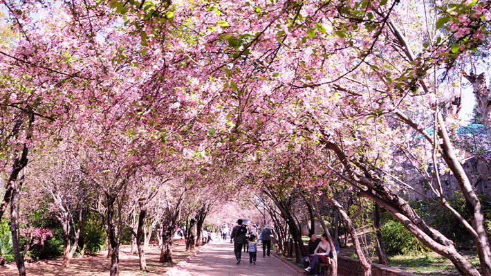 Công viên Viên Thông Sơn