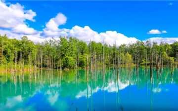 Tour Nhật Bản 6N5Đ: Hà Nội - Hokkaido - Sapporo - Biei - Otaru - Tokyo