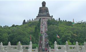 dai-nhi-son-hong-kong.jpg