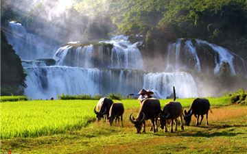 tour du lich ninh binh ha long