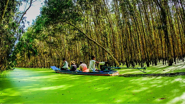 Trải nghiệm đò chèo lướt trên mặt bèo.