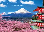 Tour Nhật Bản 5N5Đ: HCM - Tokyo - Fuji - Kyoto - Osaka - Hoa Anh Đào