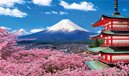 Tour Nhật Bản 5N5Đ: HCM - Tokyo - Fuji - Kyoto - Osaka - Hoa Anh Đào