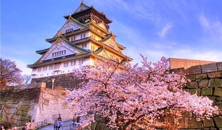 Tour Nhật Bản 6N5Đ: Hà Nội - Osaka - Kyoto - Phú Sĩ - Tokyo - Gyokuro No Sato