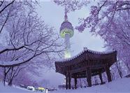 Tour Hàn Quốc 5N4Đ: HCM - Seoul - Đảo Nami - Lotte World - Trượt Tuyết Elysian
