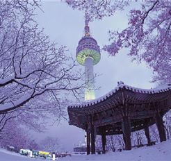 Tour Hàn Quốc 5N4Đ: HCM - Seoul - Đảo Nami - Lotte World - Trượt Tuyết Elysian