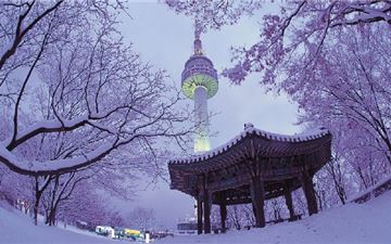 Tour Hàn Quốc 5N4Đ: HCM - Seoul - Đảo Nami - Lotte World - Trượt Tuyết Elysian