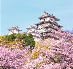 Tour Nhật Bản 6N5Đ: HCM - Osaka - Kyoto - Fuji - Tokyo - Narita (Ngắm Hoa Anh Đào)