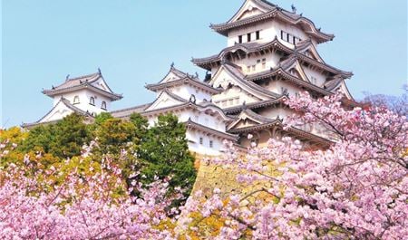 Tour Nhật Bản 6N5Đ: HCM - Osaka - Kyoto - Fuji - Tokyo - Narita (Ngắm Hoa Anh Đào)