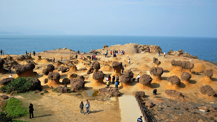 Công Viên Dã Liễu