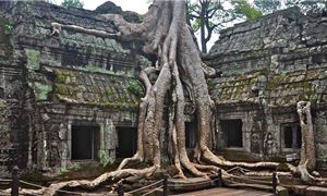 Angkor Wat