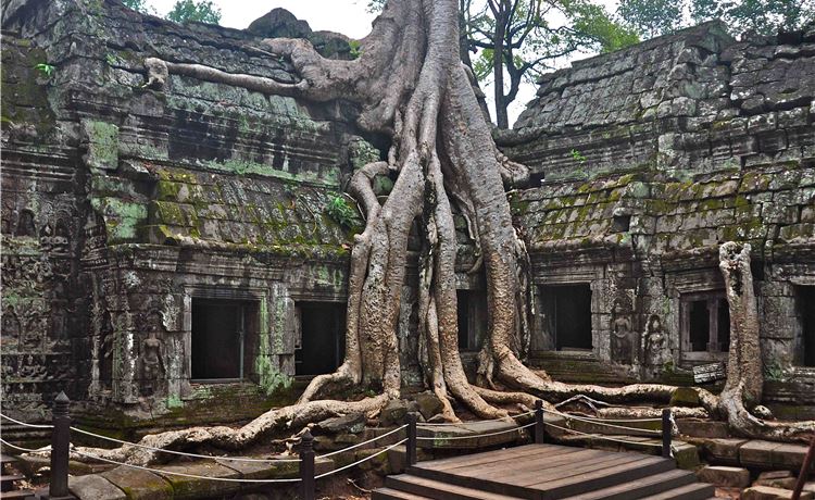 Đền Ta Prohm.