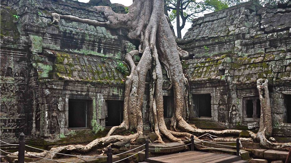 Đền Ta Prohm.