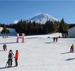 Tour Tết Nhật Bản 5N5Đ: HCM - Osaka - Trượt Tuyết Fujiten - Kawazu Sakura Festival