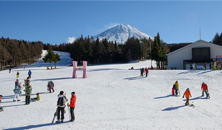 Tour Tết Nhật Bản 5N5Đ: HCM - Osaka - Trượt Tuyết Fujiten - Kawazu Sakura Festival