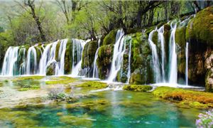 ivivu-cuu-trai-cau-5.jpg