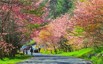 Tour Đài Loan 5N4Đ: Hà Nội - Cao Hùng - Đài Trung - Đài Bắc - Phố Cổ Thập Phần