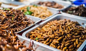 Chợ Côn Trùng