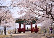 Tour Hàn Quốc 5N5Đ: HCM - Busan - Daegu - Seoul - Đảo Nami