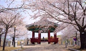 Làng bích hoạ Gamcheon