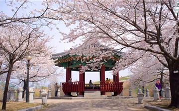 Tour Hàn Quốc 5N5Đ: HCM - Busan - Daegu - Seoul - Đảo Nami