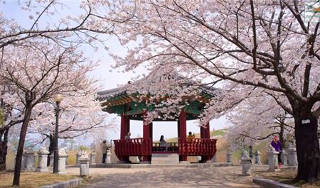 Tour Hàn Quốc 5N5Đ: HCM - Busan - Daegu - Seoul - Đảo Nami