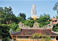 Tour Nha Trang Trong Ngày: City Tour Khám Phá Hòn Ngọc Biển Đông