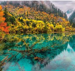 Tour Trung Quốc 6N5Đ: Thành Đô - Cửu Trại Câu - Đô Giang Yển - Công Viên Gấu Trúc - Xuân Hy Lộ - No Shopping