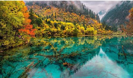 Tour Trung Quốc 6N5Đ: Thành Đô - Cửu Trại Câu - Đô Giang Yển - Công Viên Gấu Trúc - Xuân Hy Lộ - No Shopping