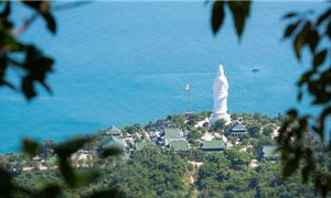 ivivu-ban-dao-son-tra.jpg