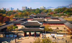 Cung điện Gyeongbokgung: Kiến trúc cổ kính và lịch sử phong phú.