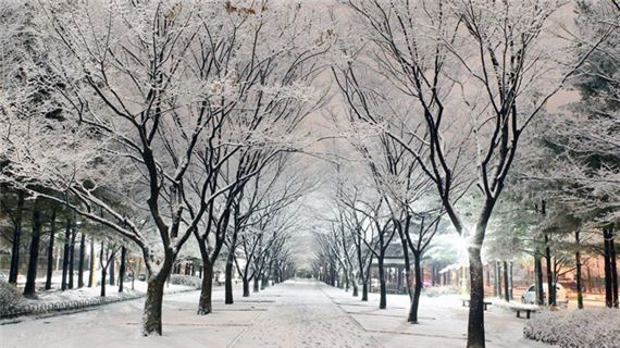 Đảo Nami mùa đông