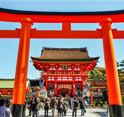 Tour Nhật Bản 6N5Đ: Hà Nội - Osaka - Kyoto - Phú Sĩ - Tokyo - Đại Lộ Icho Namiki