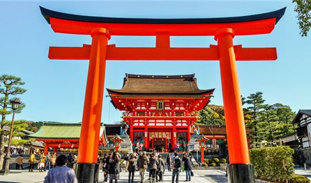 Tour Nhật Bản 6N5Đ: Hà Nội - Osaka - Kyoto - Phú Sĩ - Tokyo - Đại Lộ Icho Namiki
