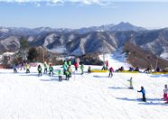 Tour Hàn Quốc 5N4Đ: HCM - Seoul - Nami - Lotte World - Trượt Tuyết Elysian