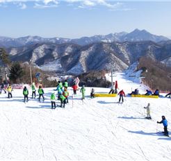 Tour Hàn Quốc 5N4Đ: HCM - Seoul - Nami - Lotte World - Trượt Tuyết Elysian