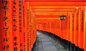 Đền Ngàn Cột Fushimi Inari