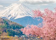 Tour Nhật Bản 6N5Đ: HCM - Tokyo - Núi Phú Sĩ - Nagoya - Kyoto - Osaka - Hoa Anh Đào