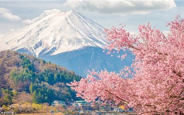 Tour Nhật Bản 6N5Đ: HCM - Tokyo - Núi Phú Sĩ - Nagoya - Kyoto - Osaka - Hoa Anh Đào