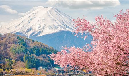 Tour Nhật Bản 6N5Đ: Tokyo - Núi Phú Sĩ - Nagoya - Kyoto - Osaka - Hoa Anh Đào