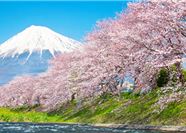 Tour Nhật Bản 6N5Đ: HCM - Tokyo - Fuji - Nagoya - Kyoto - Osaka - Hoa Anh Đào