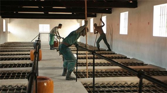 Chuồng cojcp kiểu Pháp.