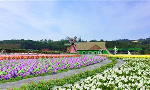ivivu-fresh-garden-da-lat-2-1.jpg