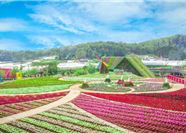 Tour Đà Lạt Nửa Ngày: Mongo Land - Mario Kart - Cafe Mê Linh