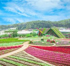 Tour Đà Lạt Nửa Ngày: Mongo Land - Mario Kart - Cafe Mê Linh